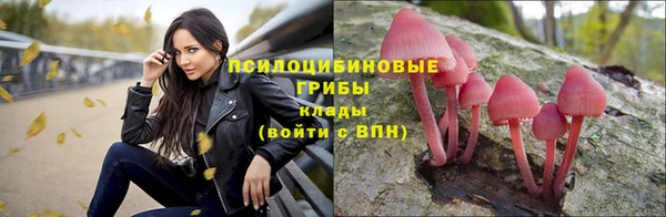 гидропоника Семилуки