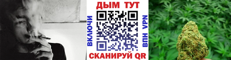 Бошки марихуана MAZAR  Купить где  Острогожск 